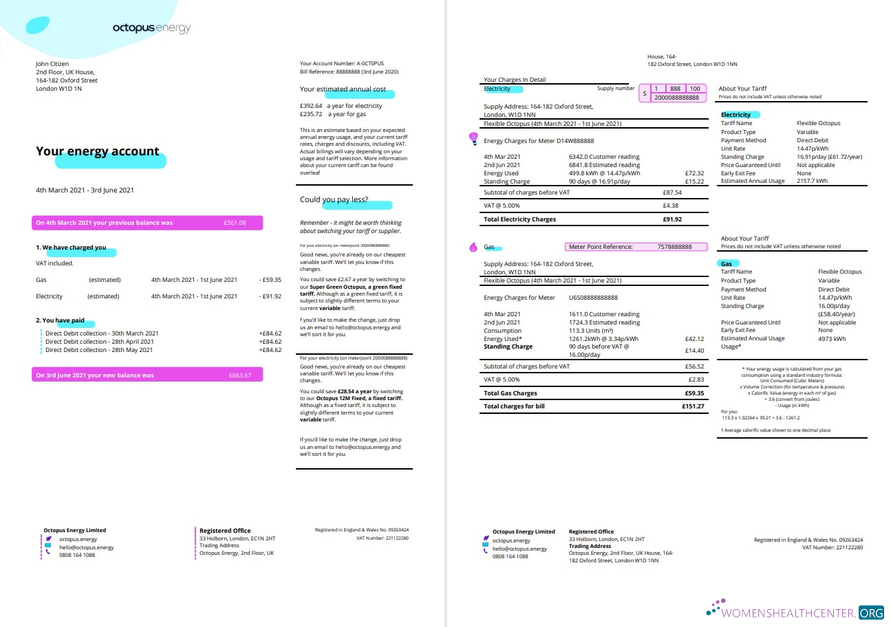 download United Kingdom Octopus Energy utility bill template in Word and PDF format, 3 pages 1 2 PDF template